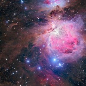 Meet your Posher, Deandra